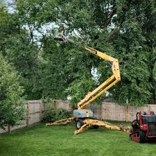 Seasonal Cleanup (Spring/Fall) in Pleasant View, UT